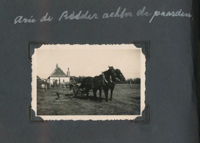 Album Texel. Arie de Ridder achter de paarden. 6 - 13 juli 1935